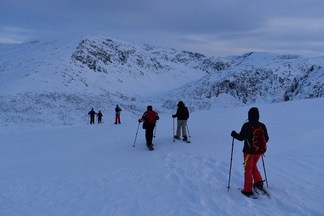 Guided Snowshoe Walk on Tromsoya Island in Tromso - Tour Duration and Departure Information