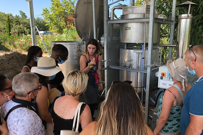 Guided Tour of Lavender Distillery Between Provence & Camargue - Tour Itinerary and Activities