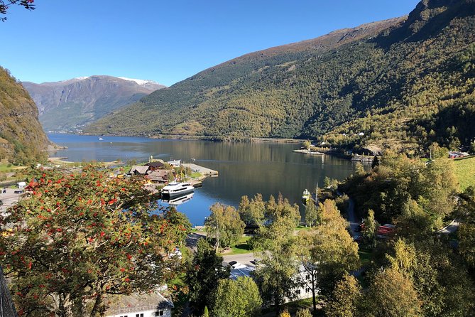 Guided Tour To Nærøyfjorden, Flåm And Stegastein - Viewpoint Cruise - Specific Experiences