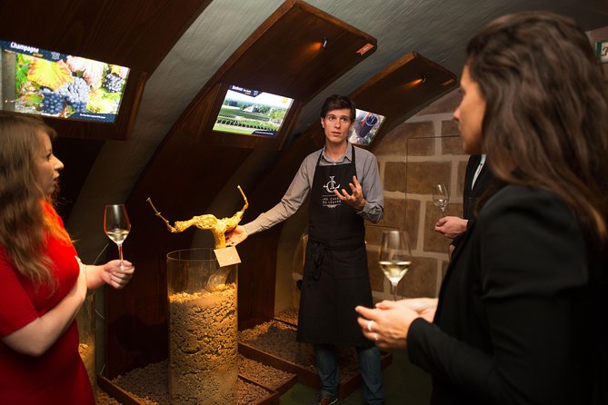 Guided Visit and Wine Tasting in a Royal Wine Cellar in Paris - Lowest Price Guarantee