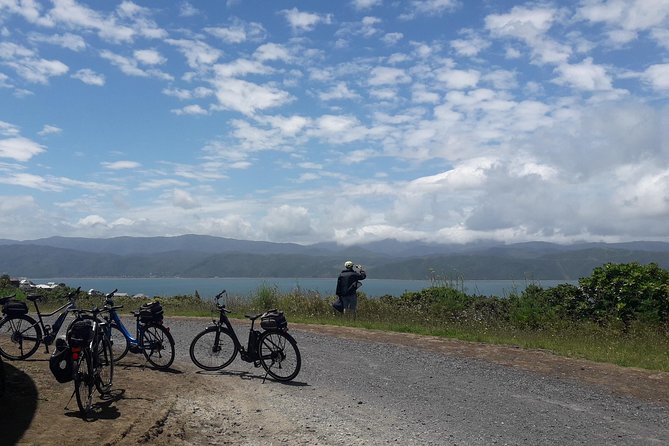 Guided Wellington Sightseeing Tour by Electric Bike - Customer Reviews
