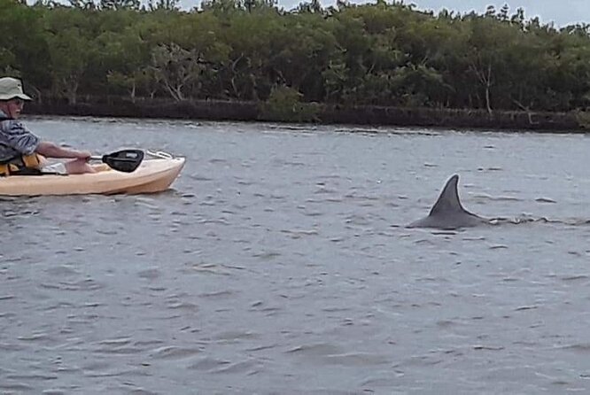 Guided Wildlife Eco Kayak Tour in New Smyrna Beach - Directions