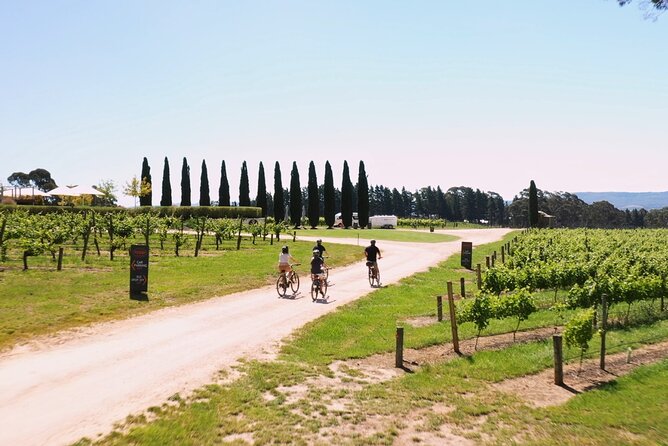 Hahndorf Food and Wine E-Bike Tour - Scenic Routes and Views