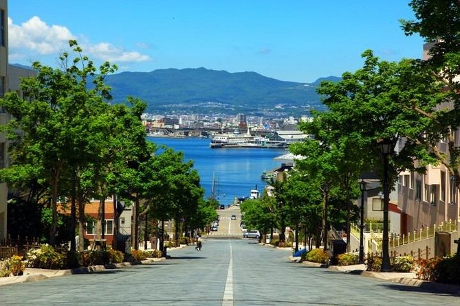 Hakodate Half-Day Private Tour With Government-Licensed Guide - Booking Information