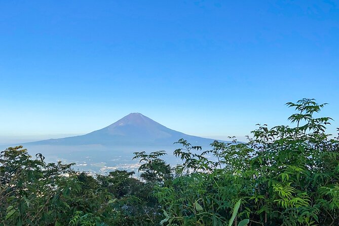 Hakone Old Tokaido Road and Volcano Full-Day Hiking Tour - Last Words