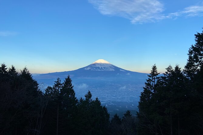 Hakone Old Tokaido Road and Volcano Half-Day Hiking Tour - Cancellation Policy