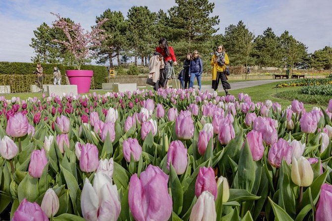 Half a Day Bicycle Tour to Flower Park Keukenhof - Last Words