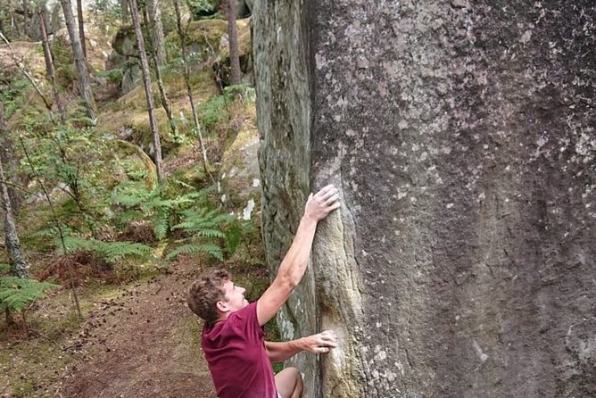Half-Day Bouldering in Fontainebleau - Important Information