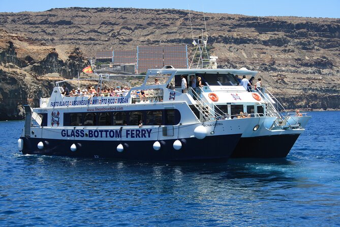 Half-Day Cruise Tour-Dolphin and Whale Watching - Traveler Reviews