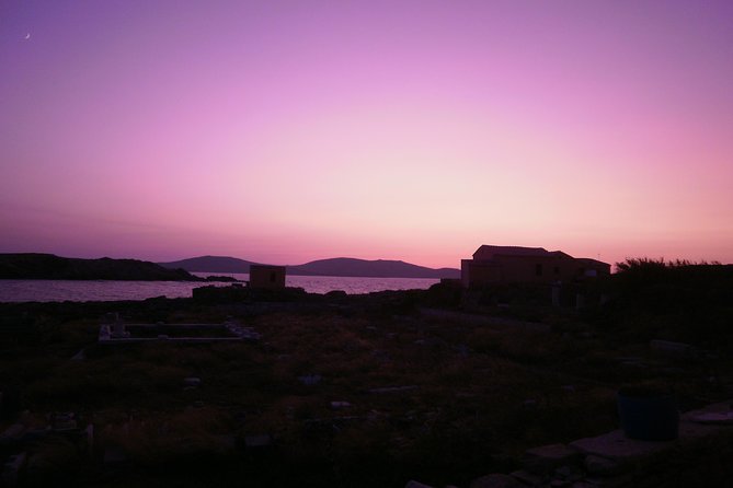 Half-Day Delos Tour From Mykonos - Lowest Price Guarantee