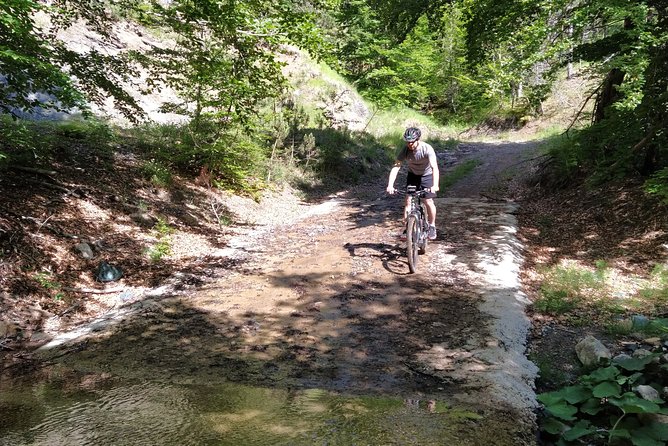 Half-Day E-Mountain Bike Adventure at Aoos Lake Metsovo - Snacks Provided