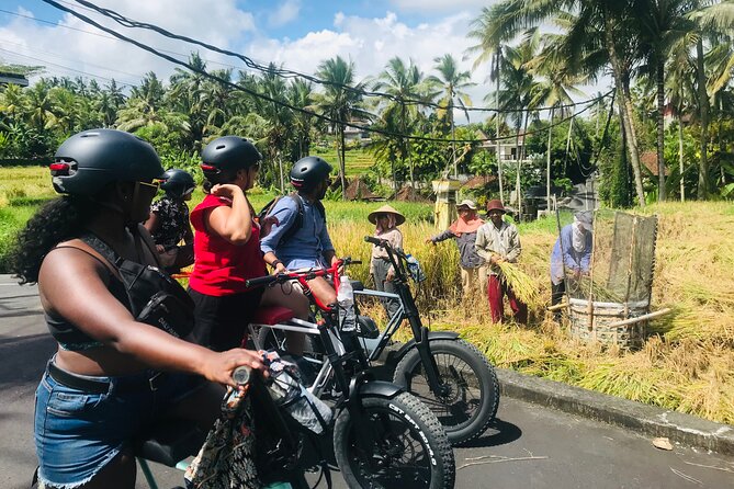 Half-Day Electric Fat Bike Tour of Ubud - Common questions