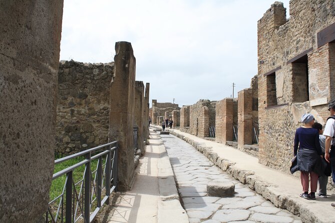 Half-Day Exclusive Private Tour of Pompeii and Herculaneum - Pricing Details