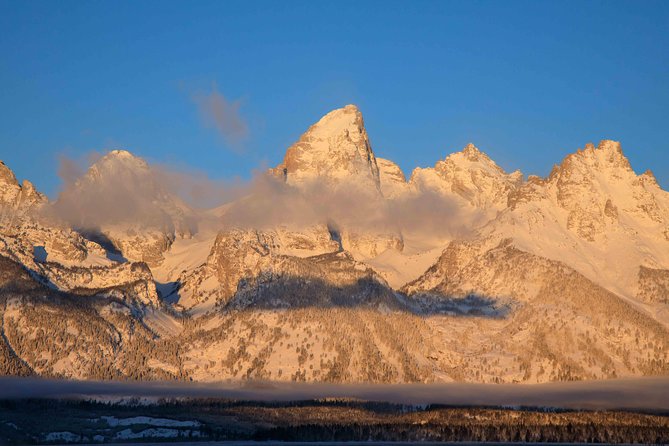 Half-Day Grand Teton Wildlife Private Safari Tour - Weather Contingency and Refund Policy