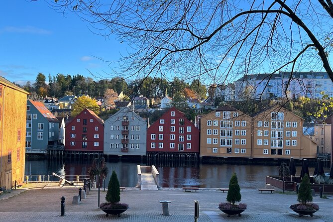 Half-Day Highlights of Trondheim by Bus and City Walk - Last Words