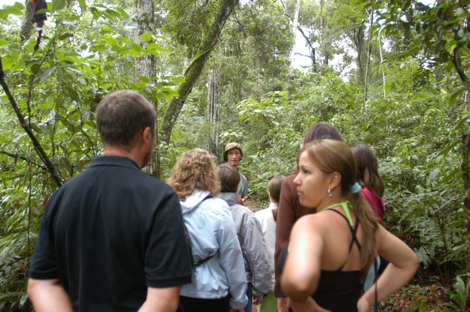 Half-Day Iguazú Forest Adventure - Safety Precautions