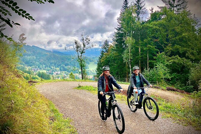 Half Day Innsbruck City and Mountain Ebike Tour - Price and Support