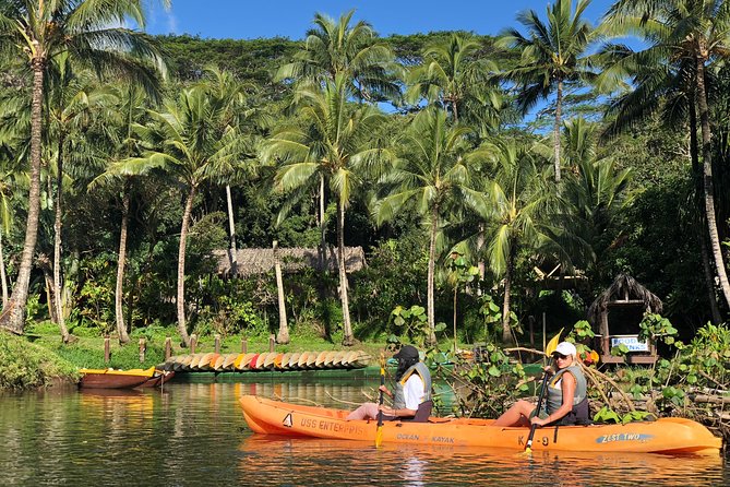 Half-Day Kayak and Waterfall Hike Tour in Kauai With Lunch - Additional Information