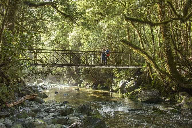 Half-Day Milford Track Guided Hiking Tour - Directions to Meeting Point