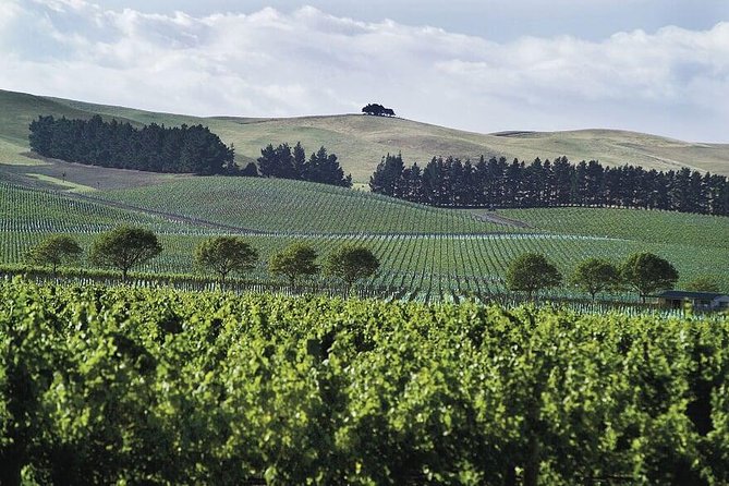 Half-Day North Canterbury Vineyard Tour From Lyttelton  - Christchurch - Additional Details and Resources