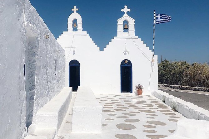 Half-Day Private Guided Tour in Mykonos - Traveler Experience