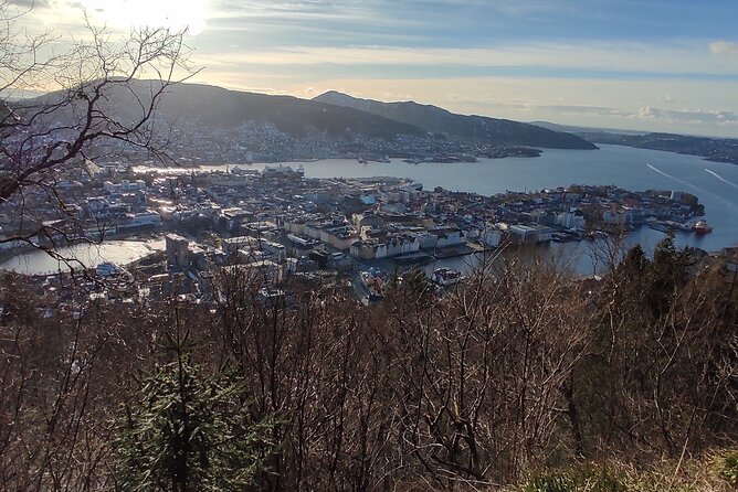 Half-Day Private Walking Tour in Bergen With Dinner and Funicular - Common questions