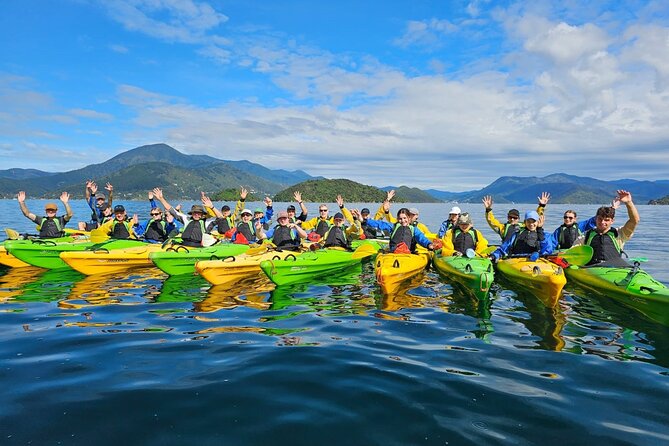 Half Day Sea Kayak Guided Tour From Picton - Last Words