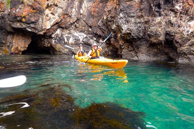 Half Day Sea Kayak Tour From Batemans Bay With Morning Tea and Snorkeling - Location Highlights and Accessibility