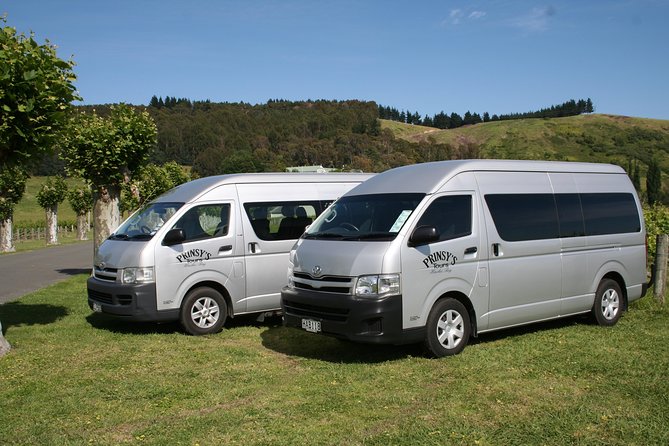 Half Day Small-Group Hawkes Bay Wine Tour - Accessibility Information