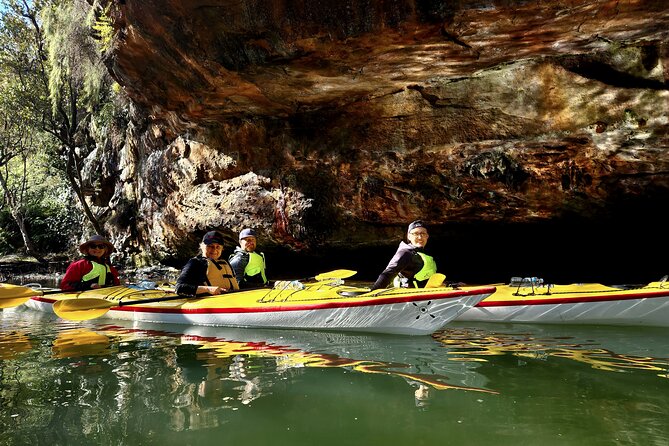 Half-Day Sydney Middle Harbour Guided Kayaking Eco Tour - Provider Information