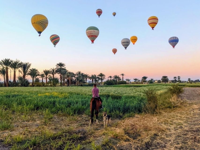 Half-Day to Discover Luxor on Horseback - Contact Information and Booking Details