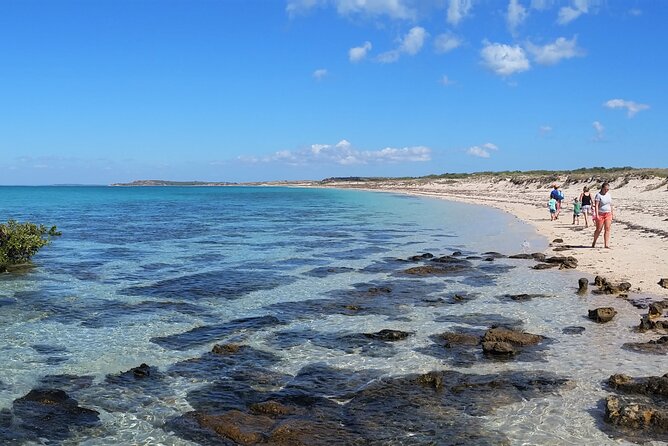 Half-Day Tour to Buccaneer Archipelago and Dampier Peninsula (Mar ) - Tour Experience Highlights