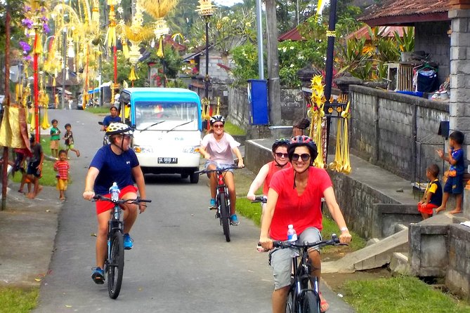 Half-Day Ubud Electric Cycling Tour to Tirta Empul Water Temple - Price and Reviews