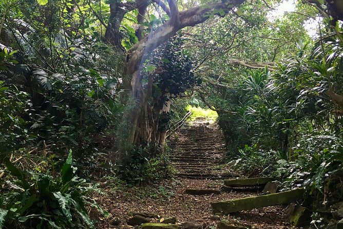 Half-Day Walking Tour to Indigenous Iriomote Village (Mar ) - Background