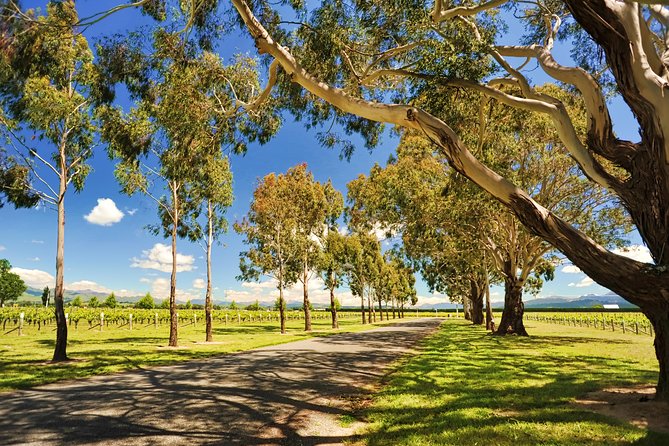 Half-Day Wine Tour From Blenheim - Additional Information