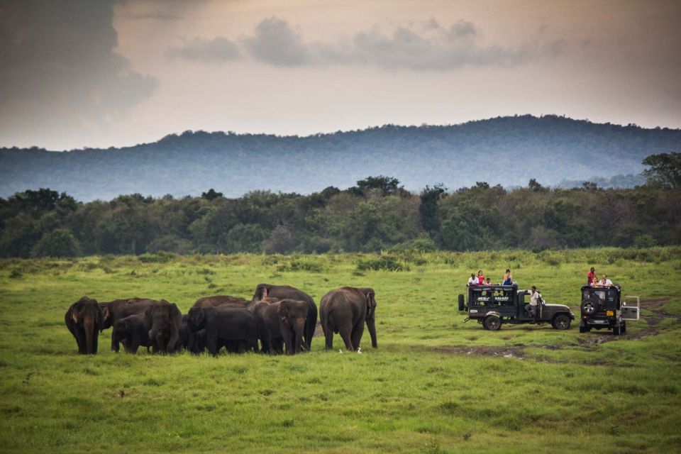 Hambantota: Udawalawe Safari and Elephant Transit Home Trip - General Details About the Trip