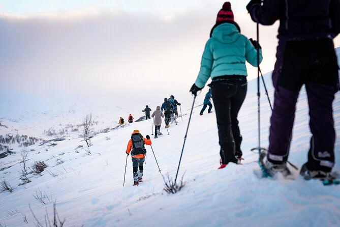 Hardangerfjord Winter Wonders on a Exclusive Guided Snowshoe Hike - Winter Wonderland Exploration