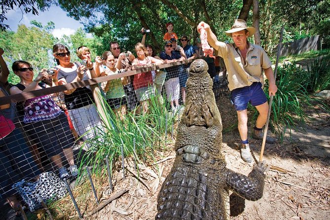 Hartleys Crocodile Adventure Half-Day Tour - Common questions