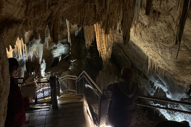 Hastings Caves, Tahune and Huon Valley Full Day Tour From Hobart - Directions