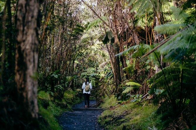 Hawaii Small-Group Volcano Experience With Lunch and Restaurant Dinner - Tour Highlights and Activities