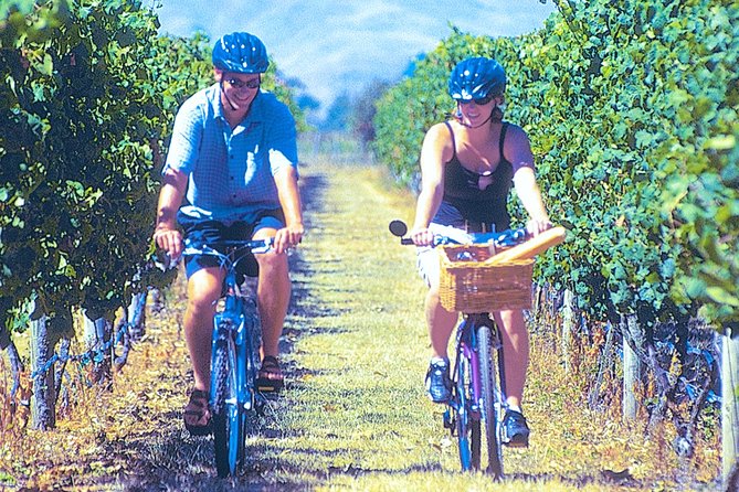 Hawkes Bay Wineries Self-Guided Bike Tour - Safety and Support