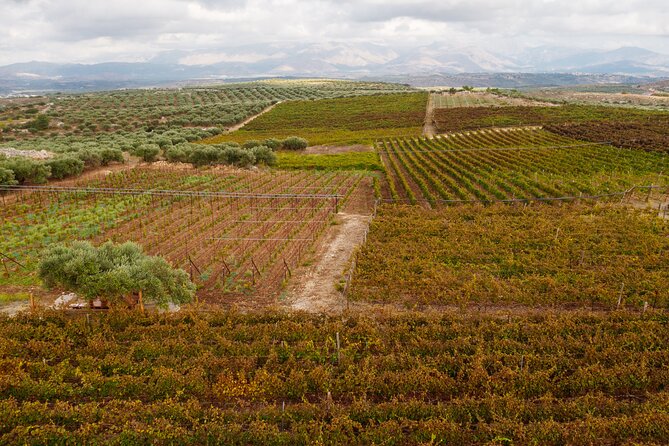 Heraklion Private Half-Day Wine Tasting Tour in Lyrarakis Winery - Last Words