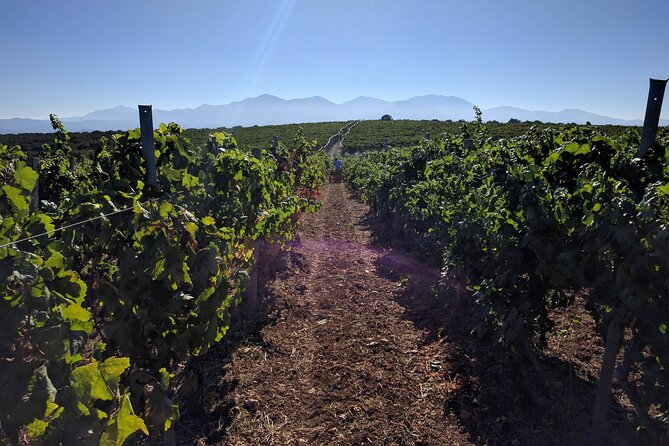 Heraklion Valley Winery Tour With Lunch and Two Wine Tastings  - Crete - Tour Details Summary