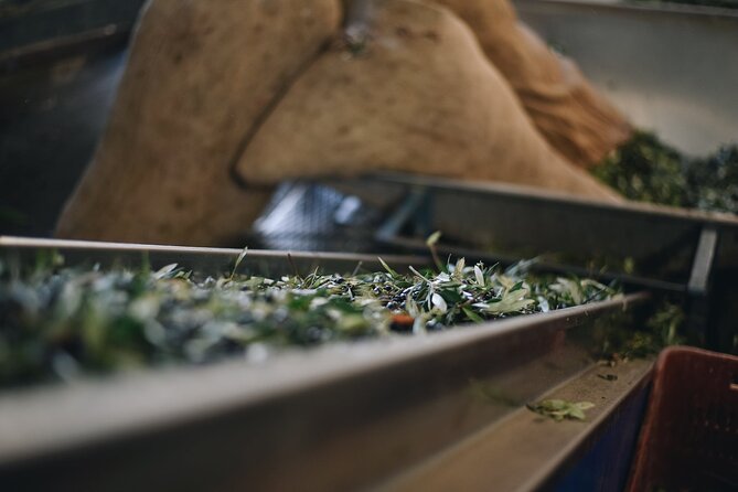 Heraklion: Visit A Family-Run Olive Mill With Food Pairing - Directions and Location