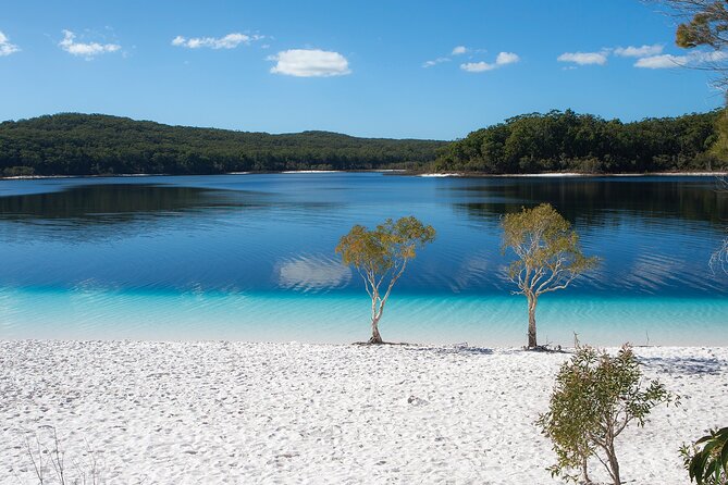Hervey Bay to Fraser Island 4WD Tour With Lake Mckenzie Swim (Mar ) - Value and Recommendations