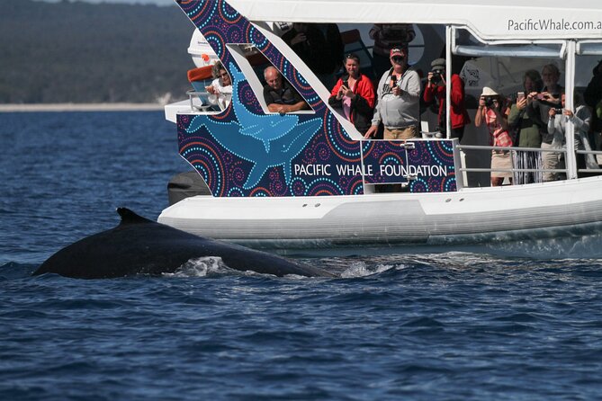 Hervey Bay Ultimate Whale Watching Cruise - Common questions