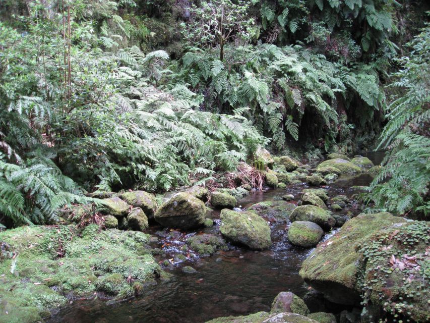 Hidden Corners, the Kings Levada Full Day Hike - Hike Highlights Overview