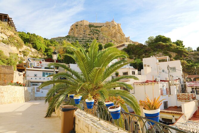 Highlights & Hidden Gems With Locals: Best of Alicante Private Tour - Common questions