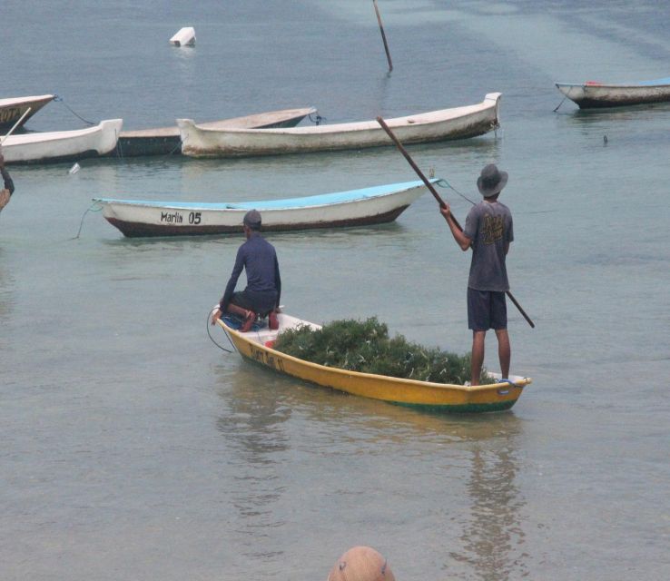 Highlights of Nusa Lembongan Islands Tour - All Inclusive - Safety Precautions to Note