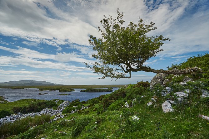 Hike Connemara National Park Depart From Galway City. Galway. Guided. Full Day. - Expectations and Confirmation Process